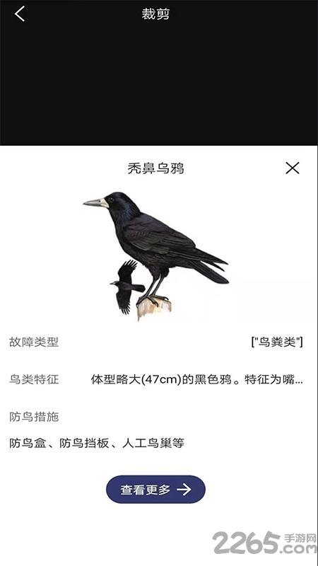 图音识鸟app下载,图音识鸟,鸟类app,识别app