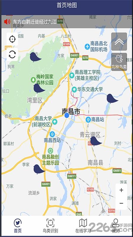 图音识鸟app下载,图音识鸟,鸟类app,识别app