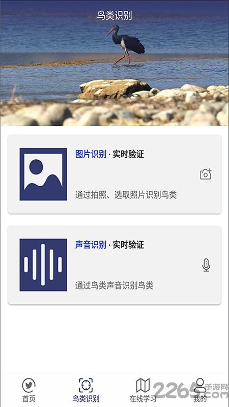 图音识鸟app下载,图音识鸟,鸟类app,识别app