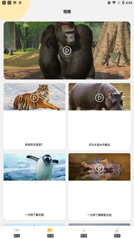 趣味动物园之星app下载,动物app,百科app,趣味动物园之星